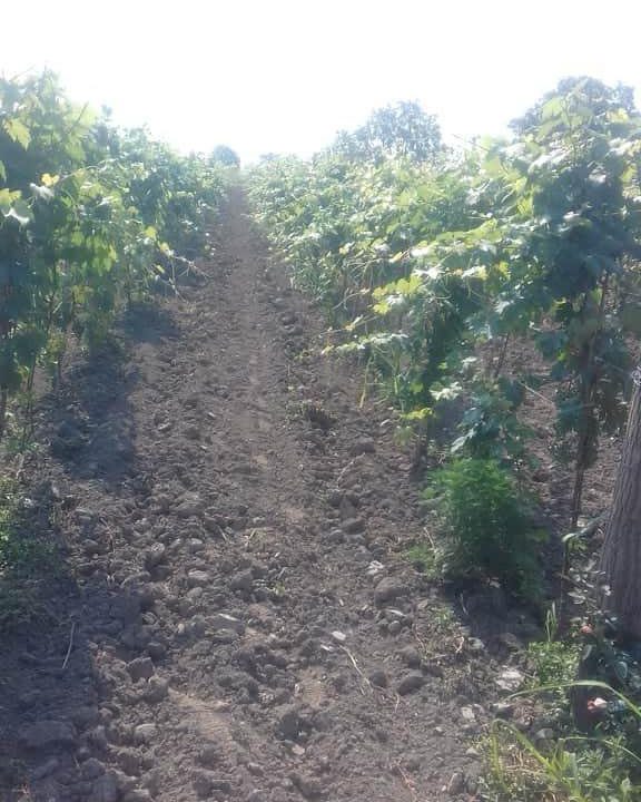 d1f67404-6477-4646-8b91-227ee8ed428b