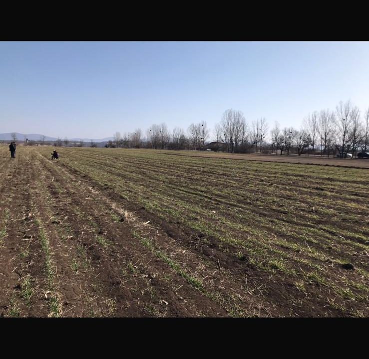 c2450782-efd7-4085-a310-39c2b06b6dce